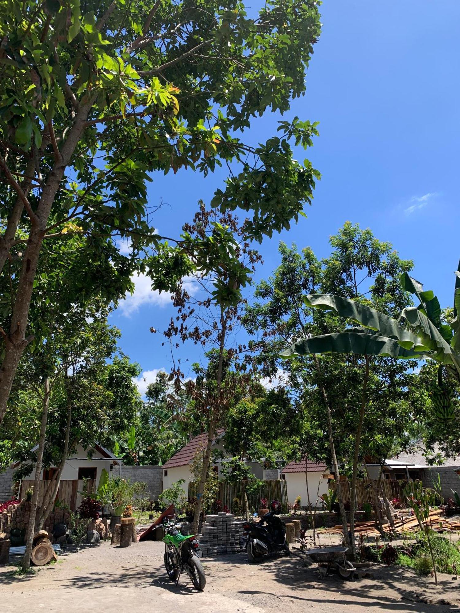טטבאטו Avocado Homestay מראה חיצוני תמונה