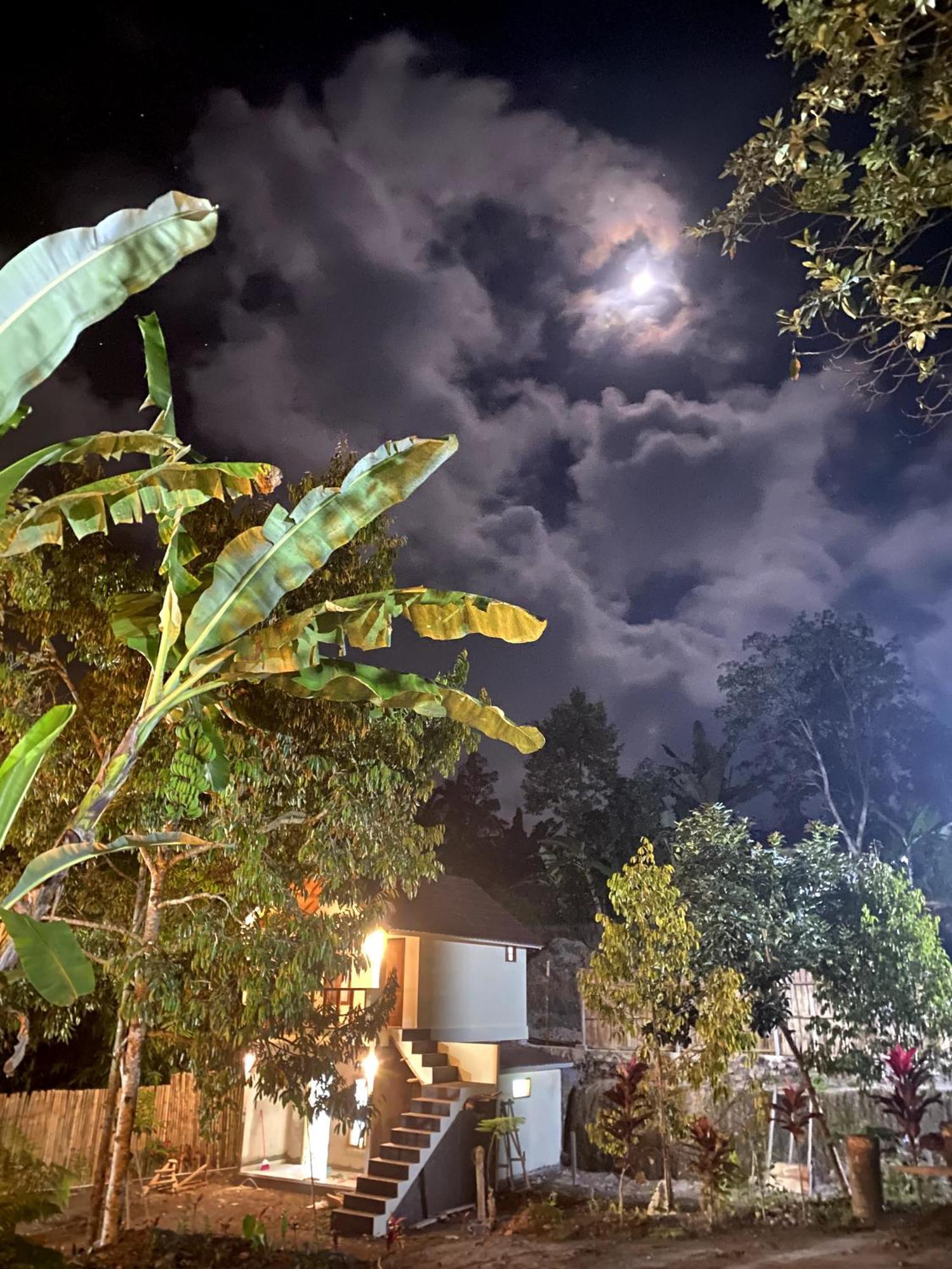 טטבאטו Avocado Homestay מראה חיצוני תמונה
