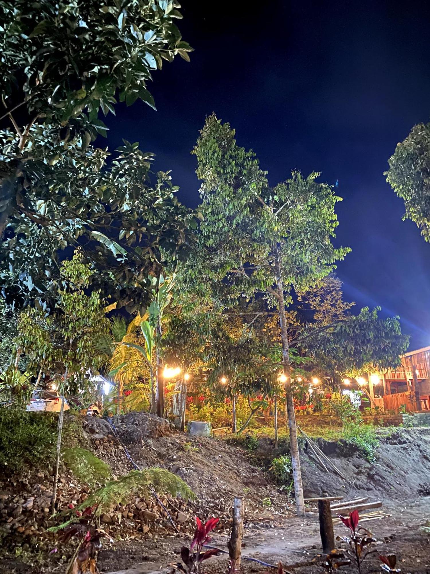 טטבאטו Avocado Homestay מראה חיצוני תמונה